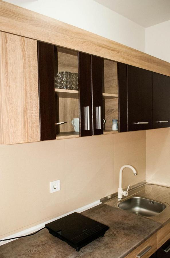Apartman Soko Соко Баня Екстериор снимка