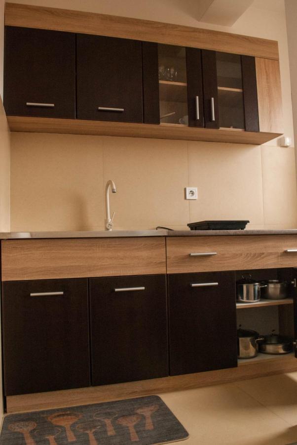 Apartman Soko Соко Баня Екстериор снимка