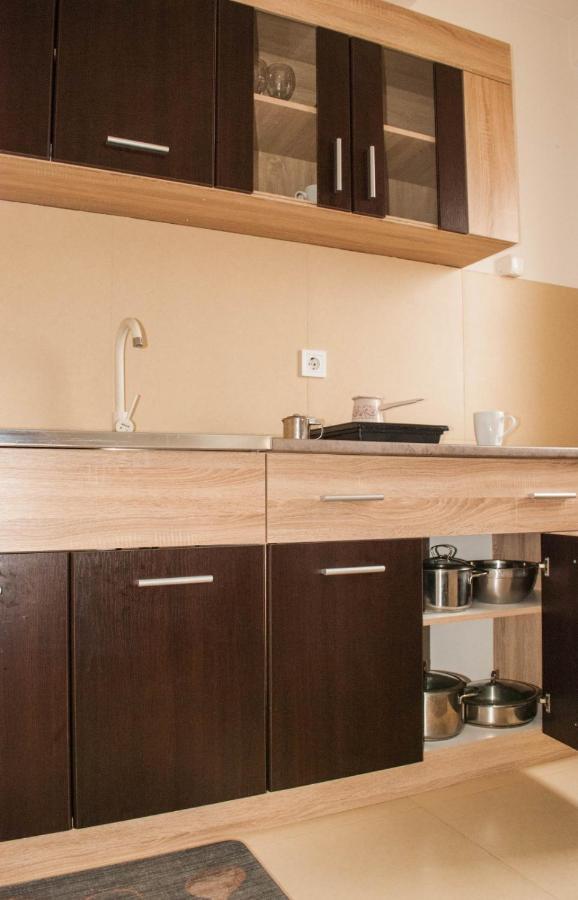 Apartman Soko Соко Баня Екстериор снимка